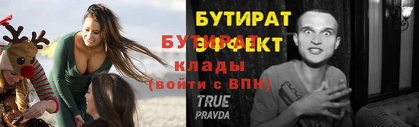 дмт Бородино