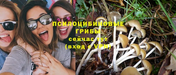 прущие крисы Бронницы