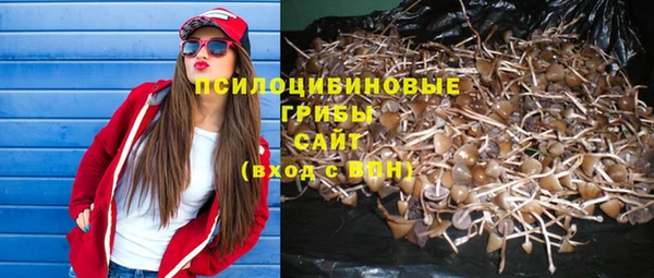 дмт Бородино