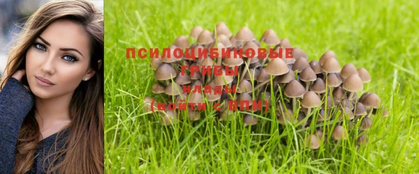 ГАЛЛЮЦИНОГЕННЫЕ ГРИБЫ Бугульма