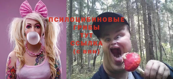 ГАЛЛЮЦИНОГЕННЫЕ ГРИБЫ Бугульма
