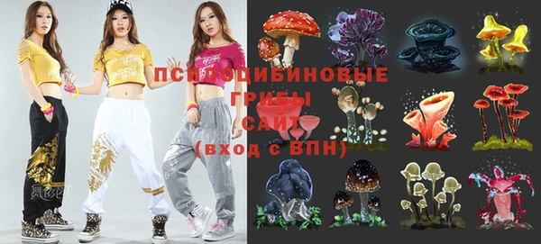 ГАЛЛЮЦИНОГЕННЫЕ ГРИБЫ Бугульма