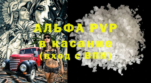 дмт Бородино