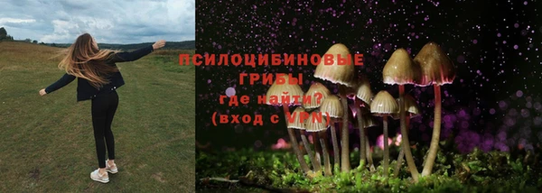 ГАЛЛЮЦИНОГЕННЫЕ ГРИБЫ Бугульма