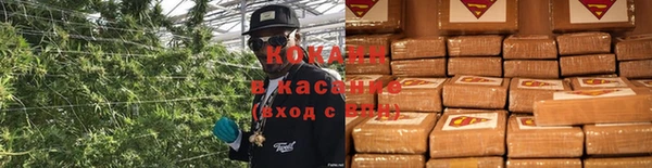 кокаин колумбия Богданович